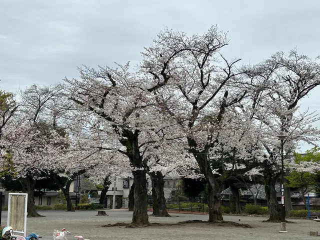 Tokiwadai Park