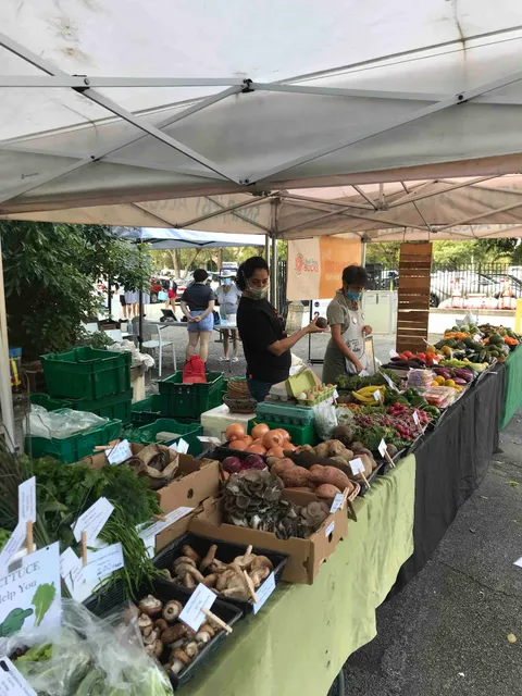 Vizcaya Village Farmers Market