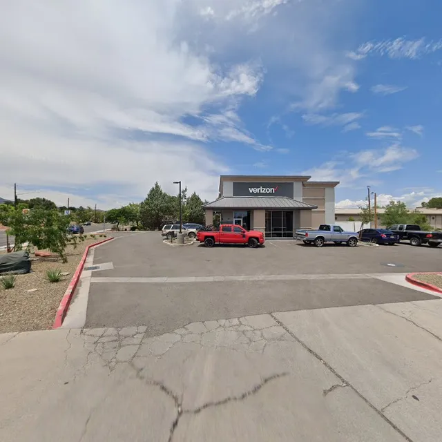 Verizon Business Services