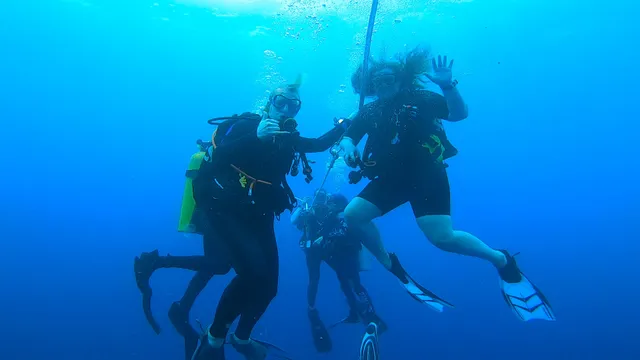 Oahu Travel Divers