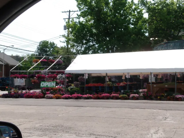 Golden Apple Fruit Market