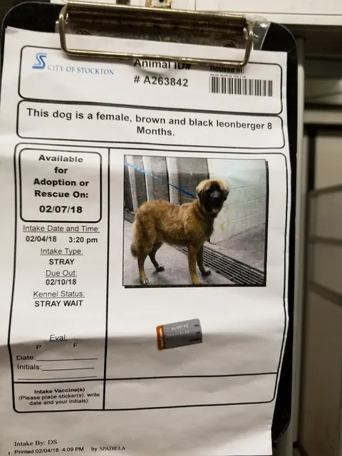 City of Stockton Animal Services Center