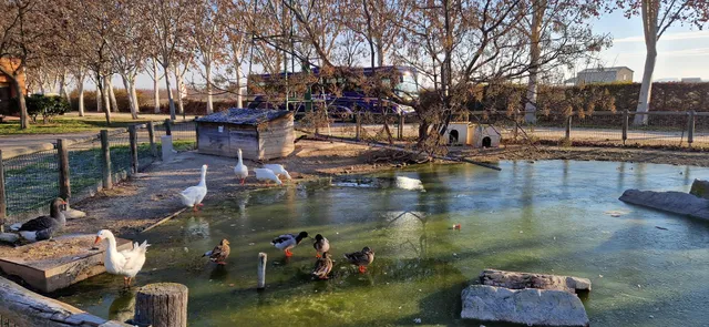 Granja-Escola Les obagues