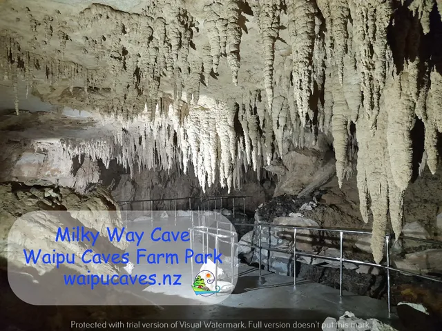 Milky Way Glow Worm Cave