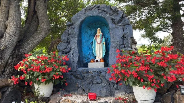 Our Lady Queen of Angels