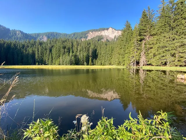 Stenata Boutique Apartments