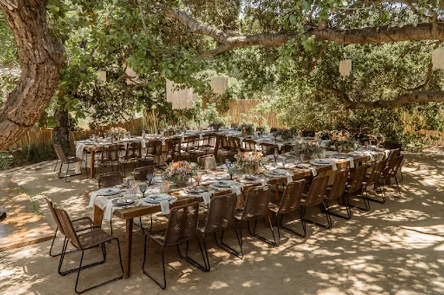 Primitivo Restaurante