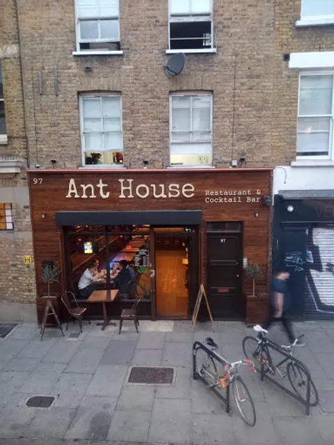 Ant House