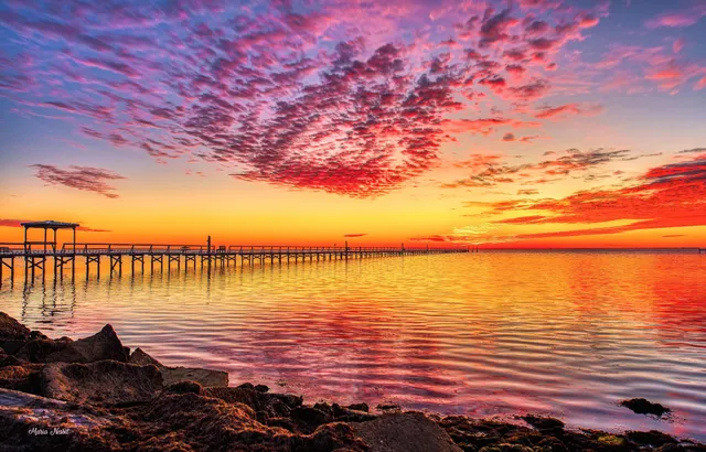 Maria Nesbit Photography