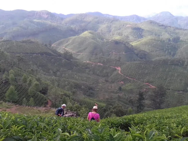 Mountain Hiking Through Tea Plantation - MunnarInfo.in