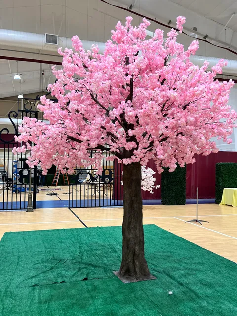 Exceptional Party Rental