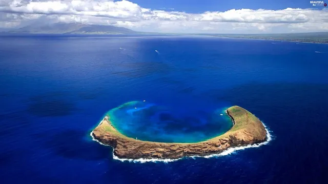 Snorkel Molokini