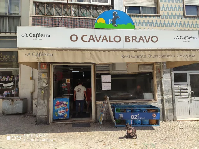 O Cavalo Bravo