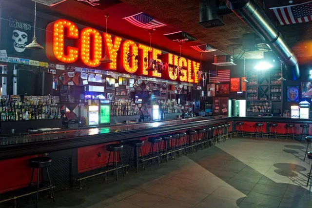 Гадкий Койот