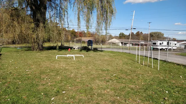 Hubbard's Scentral Dog Park