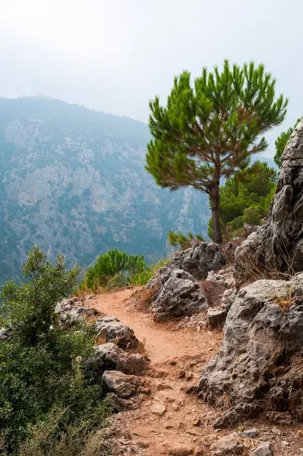 Lebanon Mountain Trail Association