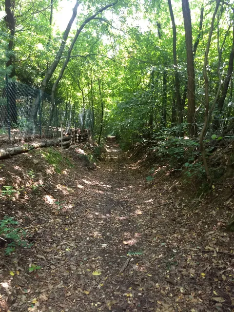 Ingresso area forestale della Valle del Boia