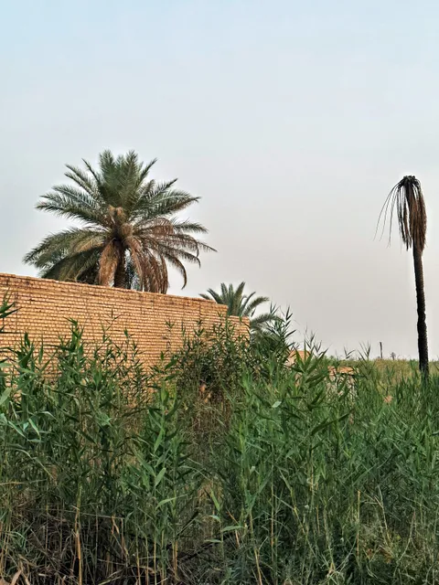 دهستان جزیره مینو