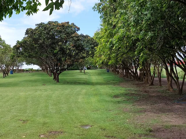 National Botanical Gardens