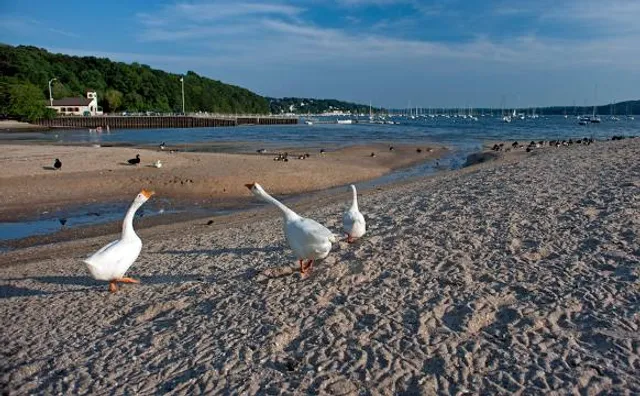 Morgan Memorial Park