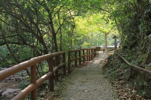 Tai Po Kau Nature Reserve