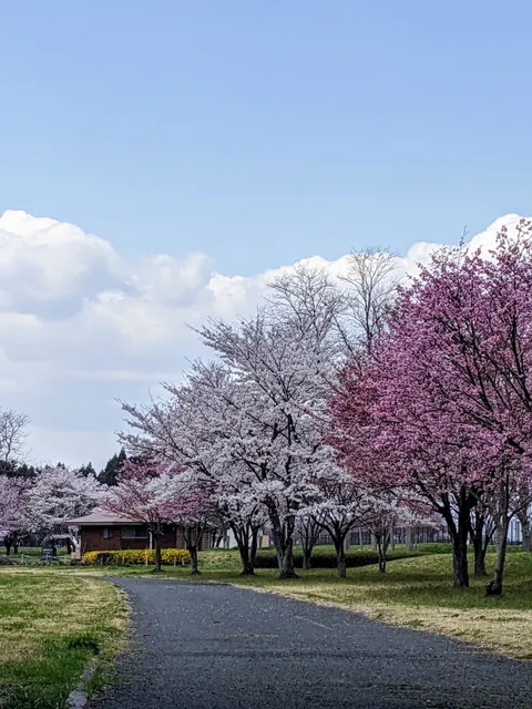 Wagakawa Green Park