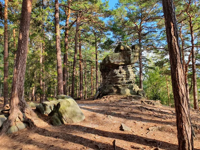 Lesny Szlak Wspinaczkowy