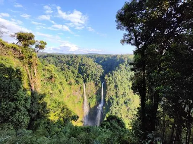 Dong Hua Sao National Bio-Diversity Conservation Area