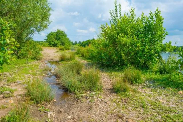 Vogeluitkijkpunt Molenplas