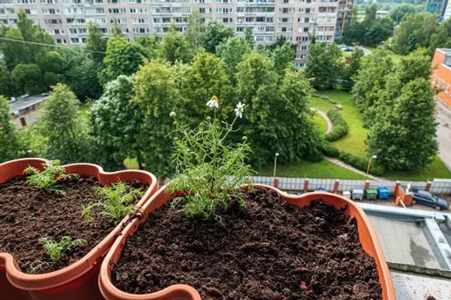 Gorodskoy Park Orekhovo-Zuyevo