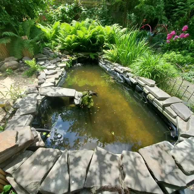 6th Street & Avenue B Community Garden