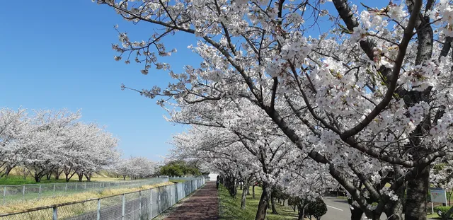 Kakamigaharajoka Center Josui Park
