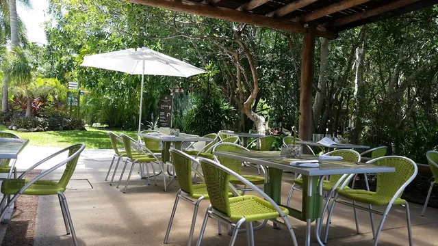 Green Break at Vidanta Riviera Maya