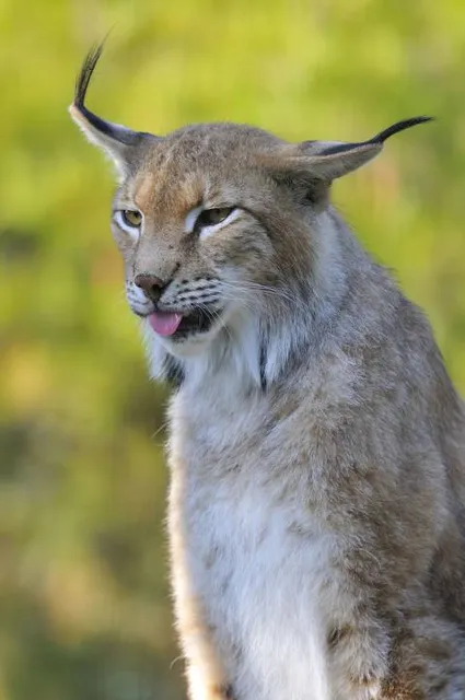 Sendaviva, Natural Park of Navarra