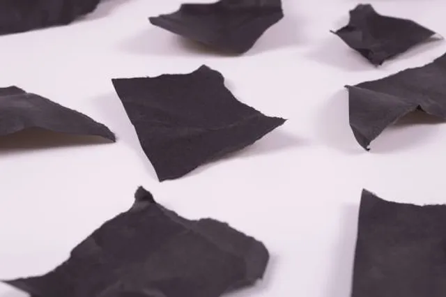 Reserva de la Biosfera La Sepultura