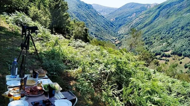 BOSQUE ACTIVO actividades de naturaleza