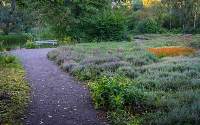 Dr. J. P. Thijssepark