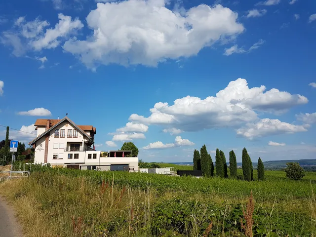 Weingut Magdalenenhof