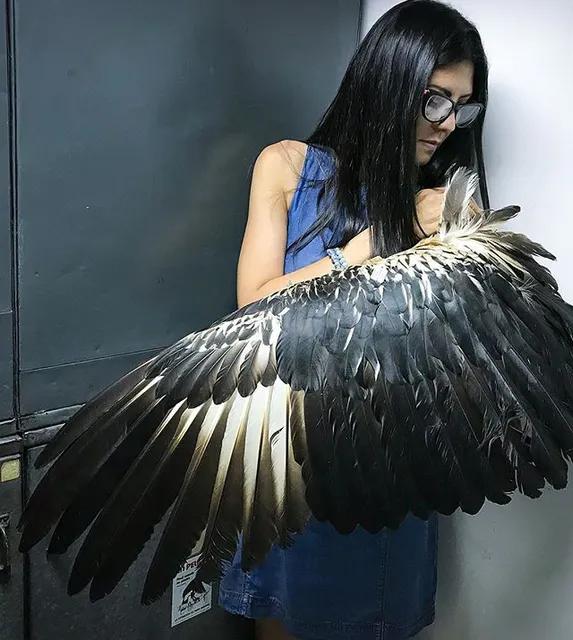 William Phelps Ornithological Museum