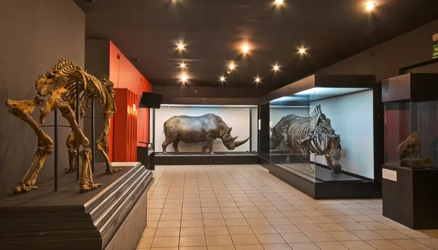 Muzeum Przyrodnicze Instytutu Systematyki i Ewolucji Zwierząt PAN w Krakowie