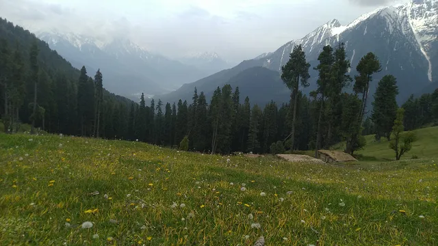 photo-1