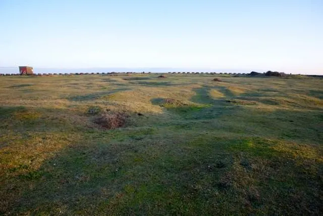 Landguard Nature Reserve