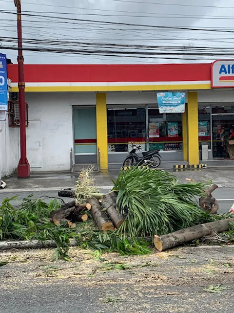 McDonald's San Pablo
