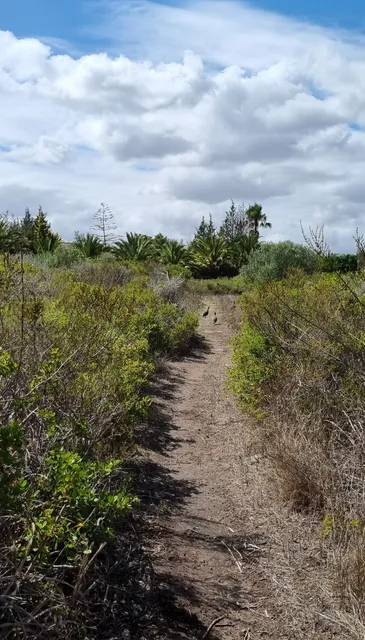 Uitkamp Wetland Nature Reserve