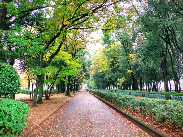 Takeno Ryokuchi Park