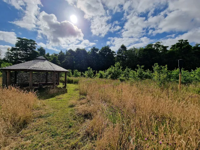 Plantlife Three Hagges Woodmeadow Nature Reserve