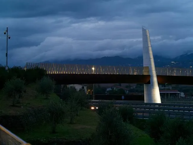 National Archaeological Museum and Archaeological Area of Luni