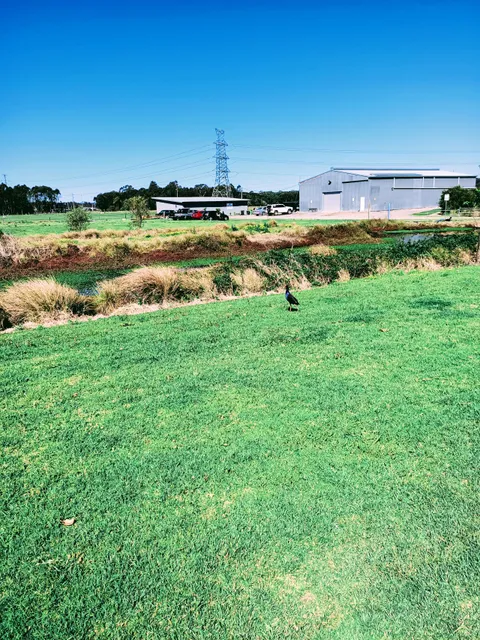 Central Coast Wetlands - Pioneer Dairy