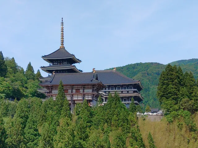 photo-2