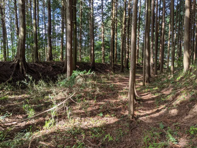 Furumiya Castle Ruins